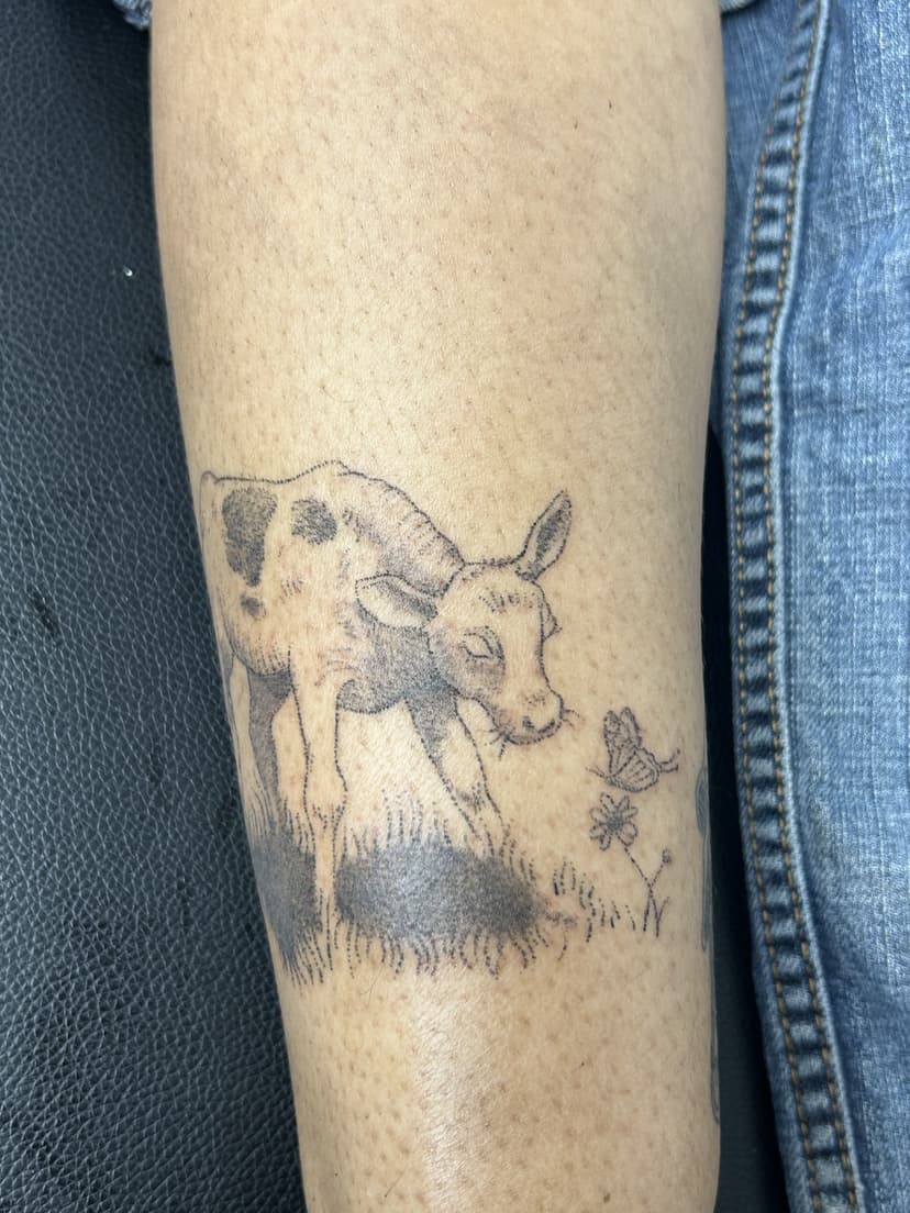 "BULL"